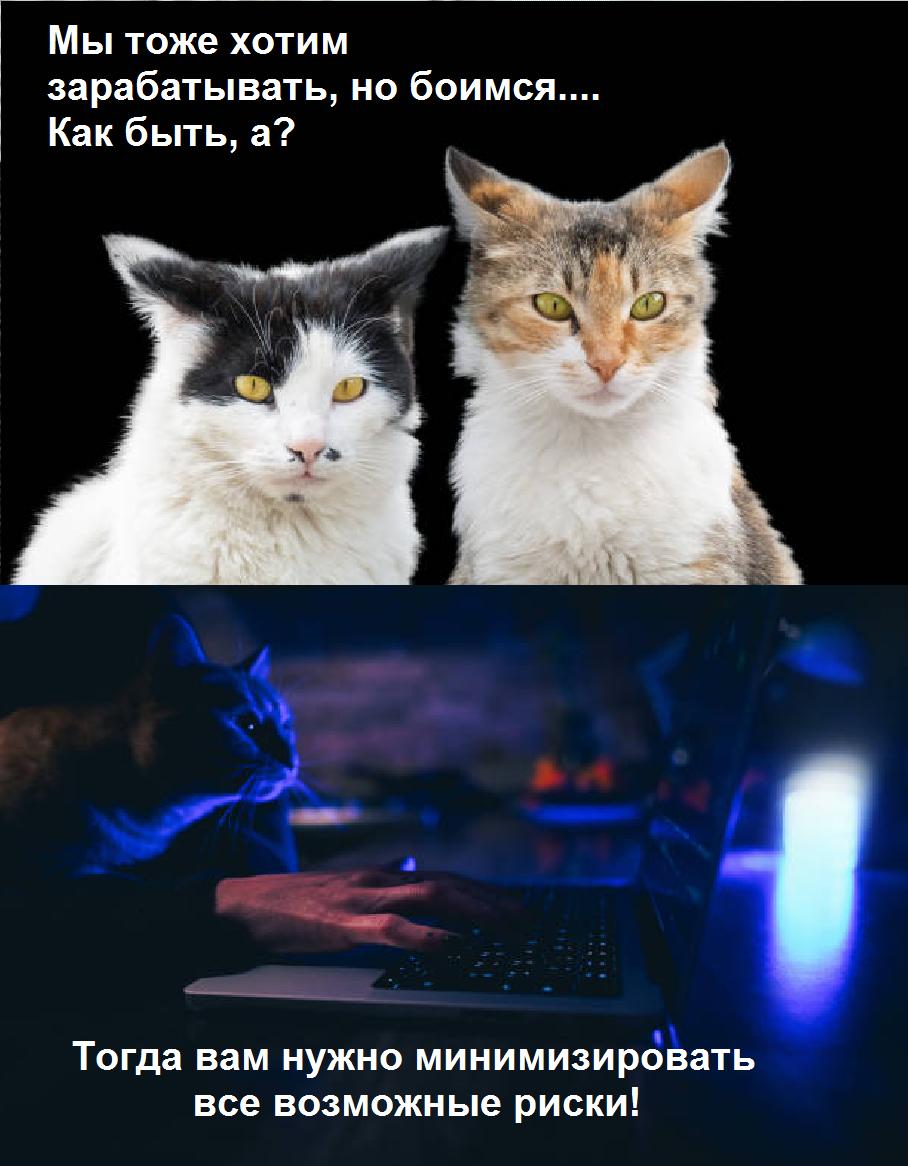 6.png