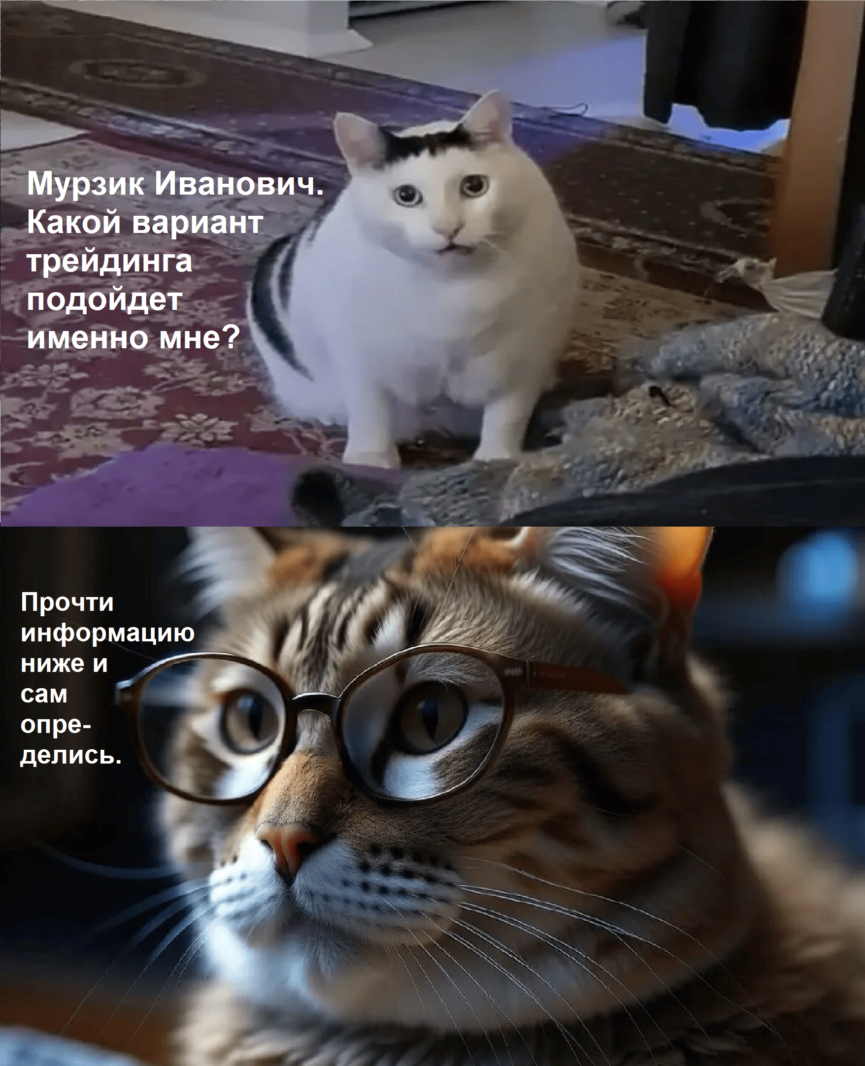 2 (2).png